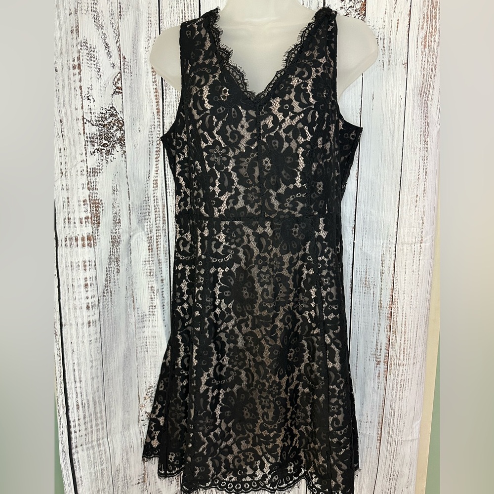 Loft 6 petite lace dress